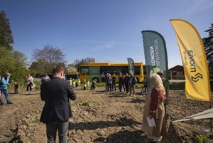 Trafikselskab og kommune har plantet trer langs busrute